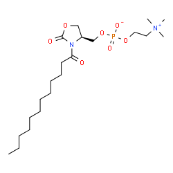 3-dodecanoyl-4-phosphatidylcholinohydroxymethyl-2-oxazolidinone Structure