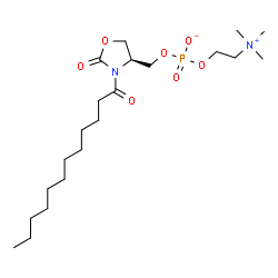 3-dodecanoyl-4-phosphatidylcholinohydroxymethyl-2-oxazolidinone structure