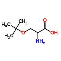 O-(2-Methyl-2-propanyl)serine结构式