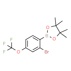 2-Bromo-4-(trifluoromethoxy)phenylboronic acid pinacol ester structure