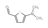 5-Dimethylamino-thiophene-2-carbaldehyde picture