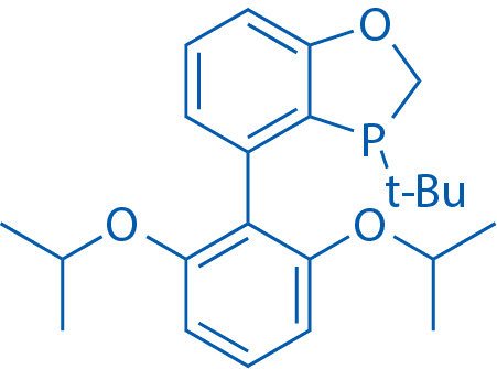 3-(tert-Butyl)-4-(2,6-diisopropoxyphenyl)-2,3-dihydrobenzo[d][1,3]oxaphosphole Structure