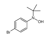 N-(4-bromophenyl)-N-tert-butylhydroxylamine Structure