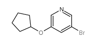 3-Bromo-5-cyclopentyloxypyridine Structure