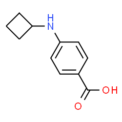 Benzoic acid, 4-(cyclobutylamino)- (9CI) picture