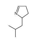 2-(2-methylpropyl)-3,4-dihydro-2H-pyrrole结构式