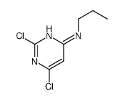 2,6-DICHLORO-N-PROPYL-4-PYRIMIDINAMINE picture