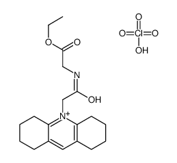ethyl 2-[[2-(1,2,3,4,5,6,7,8-octahydroacridin-10-ium-10-yl)acetyl]amino]acetate,perchloric acid结构式