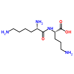 788121-81-3 structure