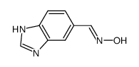 1H-Benzimidazole-6-carboxaldehyde,oxime picture