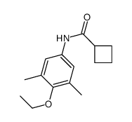 N-(4-ethoxy-3,5-dimethylphenyl)cyclobutanecarboxamide结构式