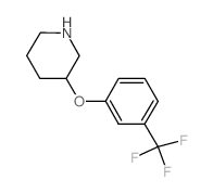 3-(3-(三氟甲基)苯氧基)哌啶图片