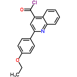 2-(4-Ethoxyphenyl)-4-quinolinecarbonyl chloride结构式