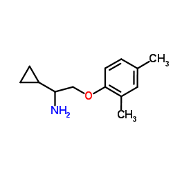1-cyclopropyl-2-(2,4-dimethylphenoxy)ethanamine结构式