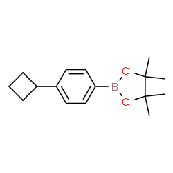 (4-Cyclobutylphenyl)boronic acid pinacol ester picture