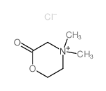 Morpholinium,4,4-dimethyl-2-oxo-, chloride (1:1) structure