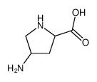 Proline, 4-amino- (7CI,8CI,9CI) picture