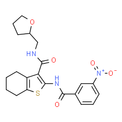 2-(3-nitrobenzamido)-N-((tetrahydrofuran-2-yl)methyl)-4,5,6,7-tetrahydrobenzo[b]thiophene-3-carboxamide结构式