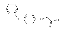 (4-OXO-CYCLOHEXYL)-ACETICACIDMETHYLESTER Structure