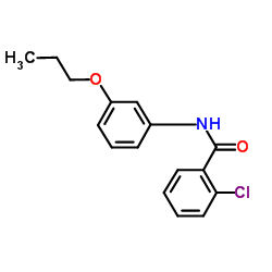 2-Chloro-N-(3-propoxyphenyl)benzamide Structure