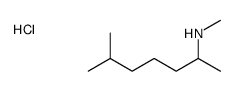 methyl(6-methylheptan-2-yl)azanium,chloride结构式