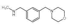 N-METHYL-N-[3-(MORPHOLIN-4-YLMETHYL)BENZYL]AMINE picture