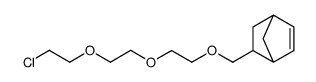 5-[2-[2-(2-chloroethoxy)ethoxy]ethoxymethyl]bicyclo[2.2.1]hept-2-ene结构式