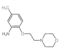 5-Methyl-2-[2-(4-morpholinyl)ethoxy]phenylamine结构式