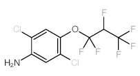 2,5-Dichloro-4-(1,1,2,3,3,3-hexafluoropropoxy)benzenamine Structure