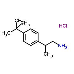 2-[4-(2-Methyl-2-propanyl)phenyl]-1-propanamine hydrochloride (1:1)结构式