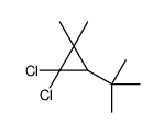 3-tert-butyl-1,1-dichloro-2,2-dimethylcyclopropane结构式