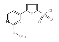 5-[2-(METHYLTHIO)PYRIMIDIN-4-YL]THIOPHENE-2-SULFONYL CHLORIDE Structure