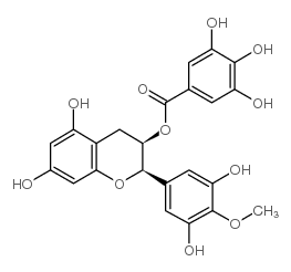 (-)-egcg-4'-o-me结构式