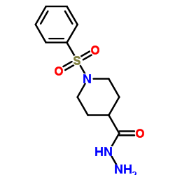 1-(PHENYLSULFONYL)PIPERIDINE-4-CARBOHYDRAZIDE structure