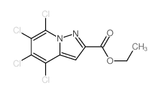 Pyrazolo[1,5-a]pyridine-2-carboxylicacid, 4,5,6,7-tetrachloro-, ethyl ester picture