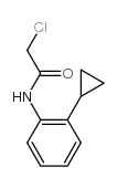 2-chloro-N-(2-cyclopropylphenyl)acetamide Structure