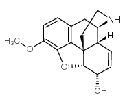 去甲可待因结构式