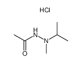 N'-methyl-N'-isopropylacethydrazide hydrochloride Structure