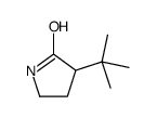 3-tert-butylpyrrolidin-2-one结构式