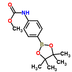 甲基 (4-(4,4,5,5-tetr-1methyl-1,3,2-diox-1borol-1n-2-yl)phenyl)氨基甲酸酯结构式