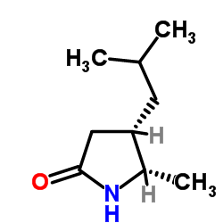 2-PYRROLIDINONE, 5-METHYL-4-(2-METHYLPROPYL)-, (4S,5S)-REL- Structure