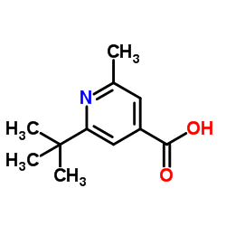 2-(tert-Butyl)-6-Methylisonicotinic acid structure
