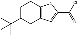 5-tert-butyl-4,5,6,7-tetrahydro-1-benzothiophene-2-carbonyl chloride Structure