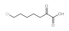 7-chloro-2-oxoheptanoic acid Structure