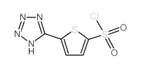 5-(2H-tetrazol-5-yl)thiophene-2-sulfonyl chloride Structure