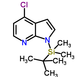 4-氯-1-[(1,1-二甲基乙基)二甲基硅酯]-1H-吡咯并[2,3-B]吡啶图片