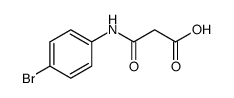 3-((4-溴苯基)氨基)-3-氧代丙酸图片