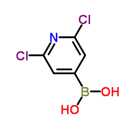 (2,6-Dichloro-4-pyridinyl)boronic acid picture