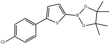 5-(4-Chlorophenyl)thiophene-2-boronic acid pinacol ester结构式