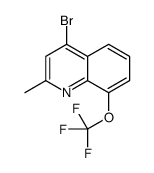 4-Bromo-2-methyl-8-trifluoromethoxyquinoline picture